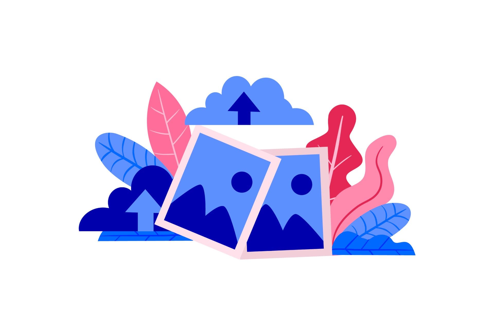 Sosyal Medya Görsel ve Video Boyutları