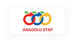 Anadolu Etap